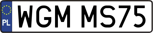 WGMMS75