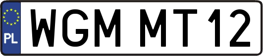 WGMMT12