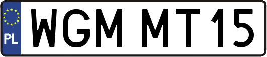 WGMMT15