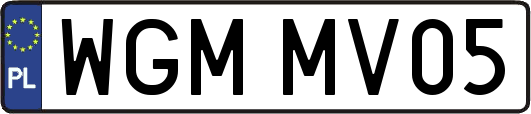 WGMMV05