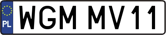 WGMMV11