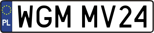 WGMMV24