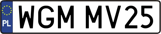 WGMMV25