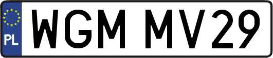 WGMMV29