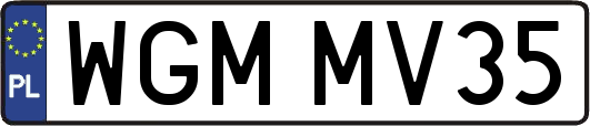 WGMMV35