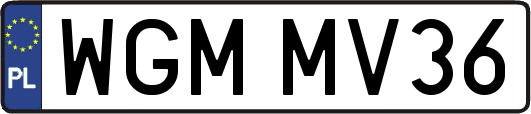 WGMMV36