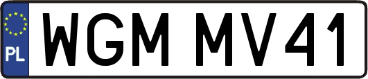 WGMMV41
