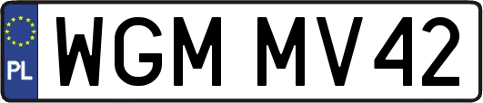 WGMMV42