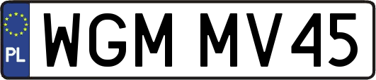 WGMMV45
