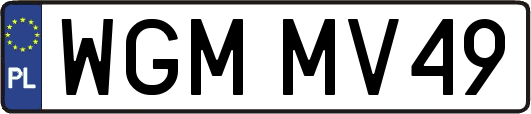 WGMMV49