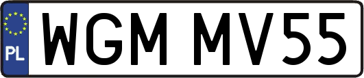WGMMV55