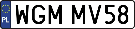 WGMMV58