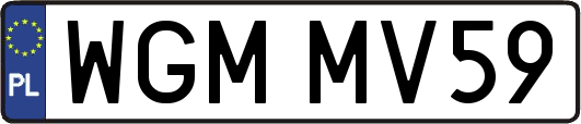 WGMMV59