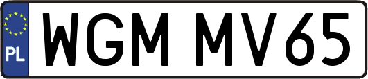 WGMMV65