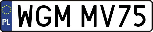 WGMMV75