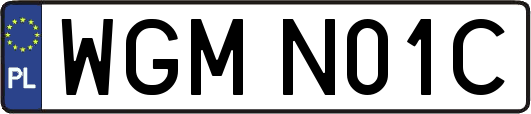 WGMN01C