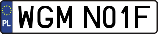 WGMN01F