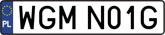 WGMN01G