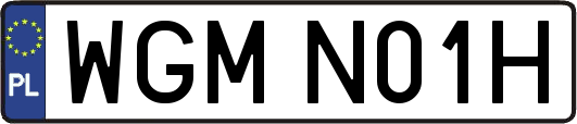 WGMN01H