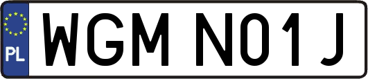 WGMN01J