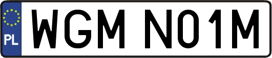 WGMN01M