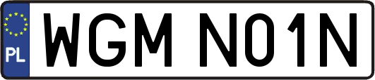 WGMN01N