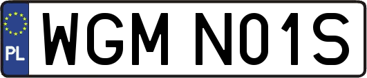 WGMN01S