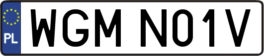 WGMN01V