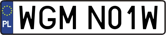 WGMN01W