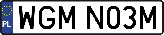WGMN03M