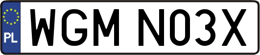 WGMN03X