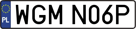 WGMN06P