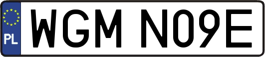 WGMN09E