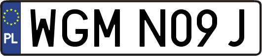 WGMN09J