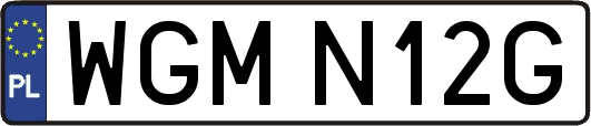 WGMN12G