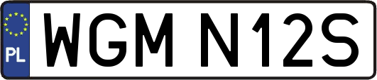 WGMN12S