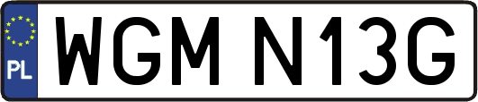 WGMN13G