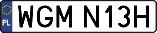 WGMN13H