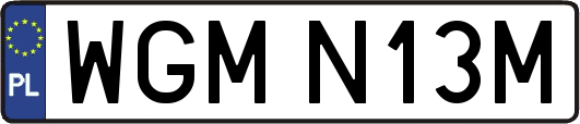 WGMN13M