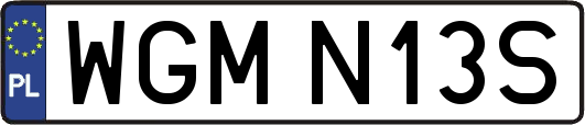 WGMN13S