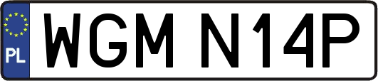 WGMN14P