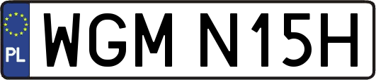WGMN15H