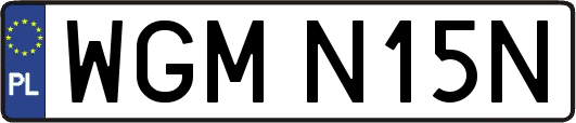 WGMN15N