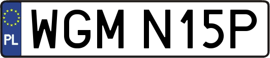 WGMN15P