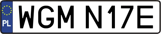 WGMN17E