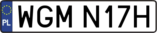 WGMN17H