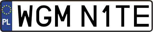 WGMN1TE