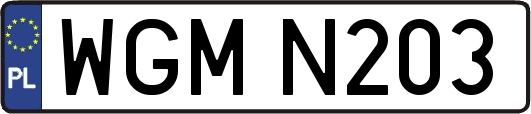WGMN203