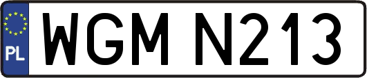WGMN213