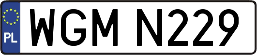 WGMN229